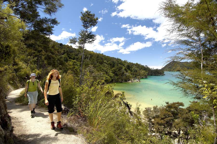 Abel Tasman National Park: Sailing and Self-Guided Walk - What to Pack for This Exact Day