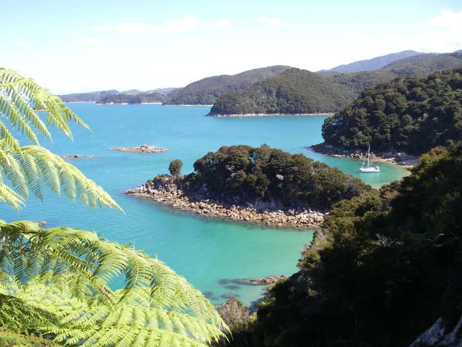 Abel Tasman National Park: Sailing and Self-Guided Walk - 8:30 AM Pickup in Marahau