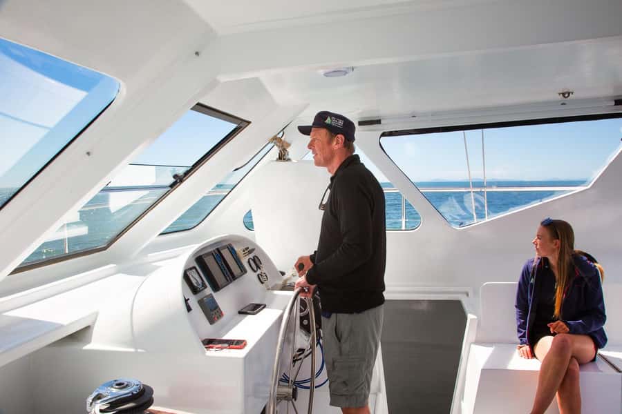 Abel Tasman National Park: Self-Guided Walk & Sailing - Native forest, golden beaches, and Anchorage Bay