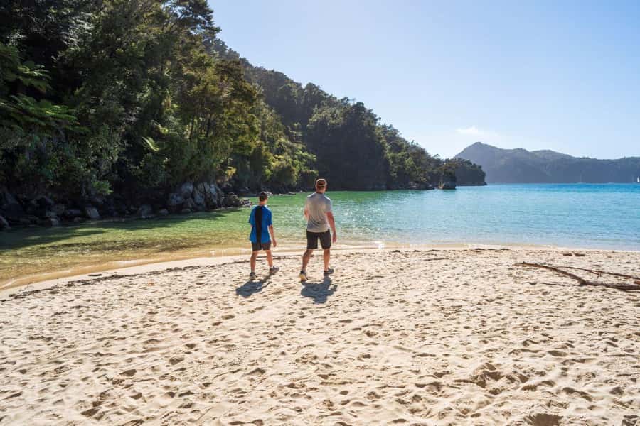Abel Tasman National Park: Waka & Walk Tour - Swimming and the return by boat