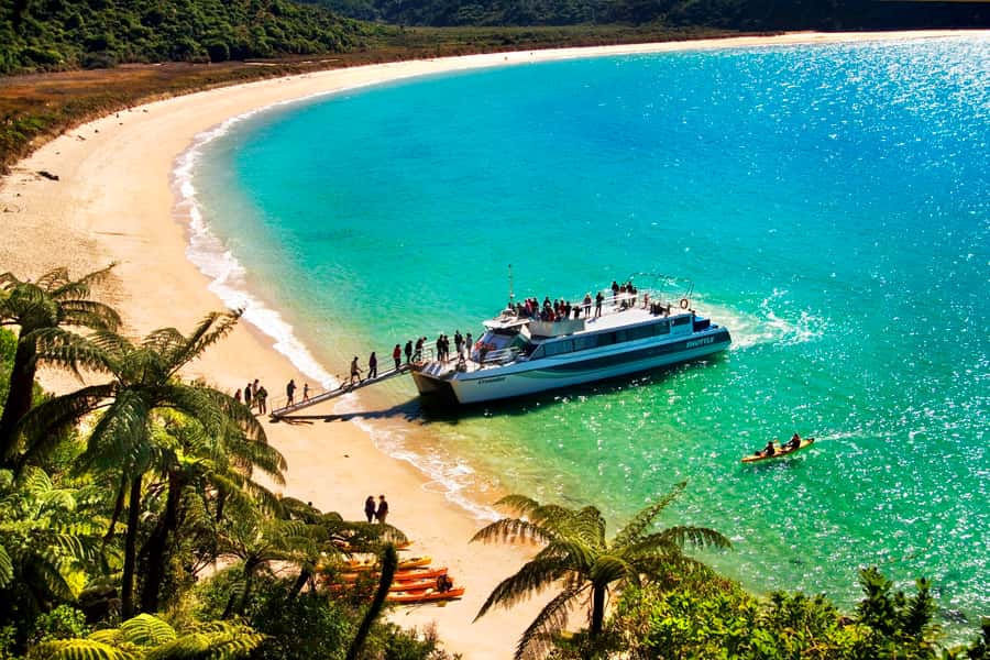 Abel Tasman: Sea Shuttle Cruise and Walking Tour Combo - The Day in Five Useful Facts