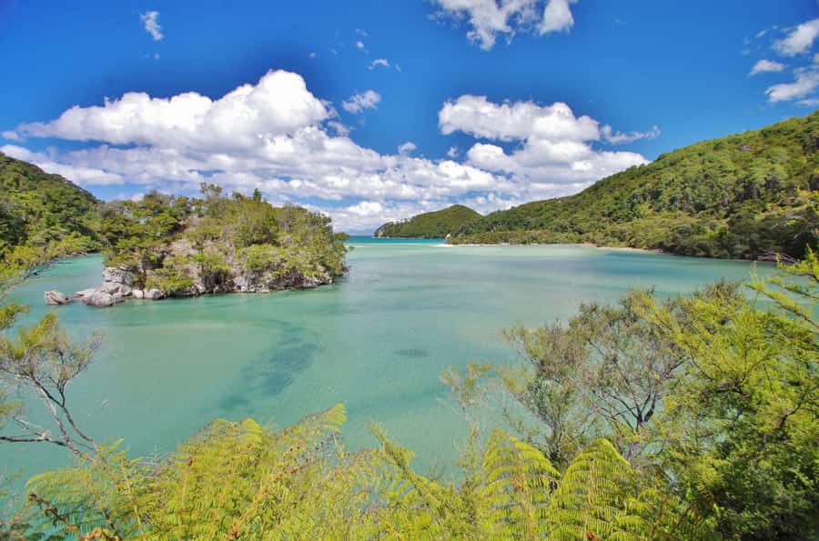Abel Tasman: Sea Shuttle Cruise and Walking Tour Combo - Option B: Medlands, South Head, and Cleopatra’s Pool
