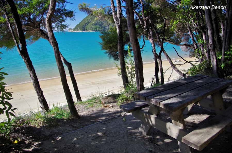 Abel Tasman: Sea Shuttle Cruise and Walking Tour Combo - Option C: The Five Beaches Walk