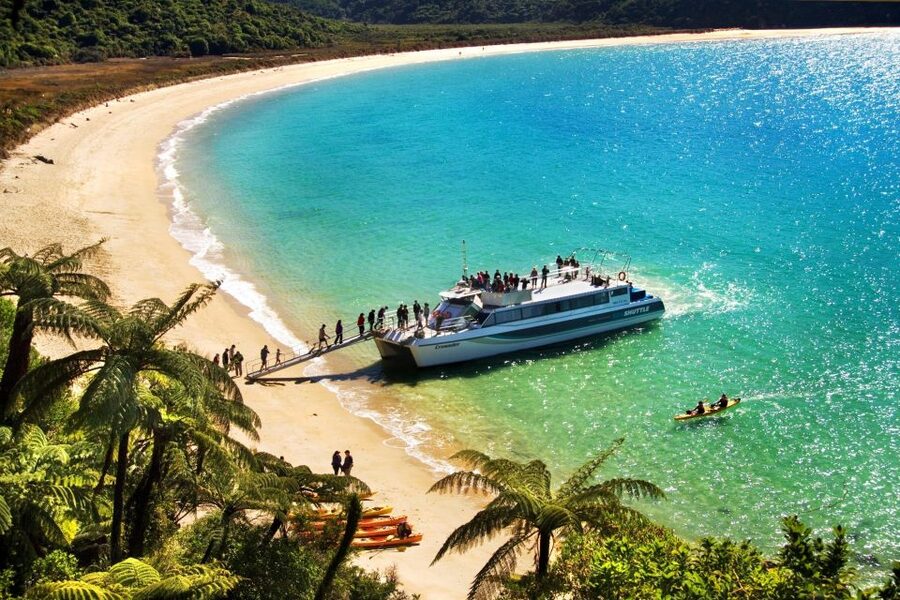 Abel Tasman: Sea Shuttle Cruise and Walking Tour Combo - What the Walking Tracks Feel Like