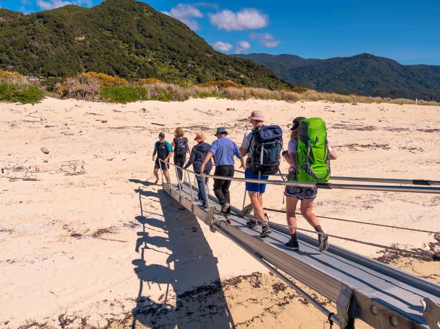 Abel Tasman: Sea Shuttle Cruise and Walking Tour Combo - Timing, Boats, and Value at $74