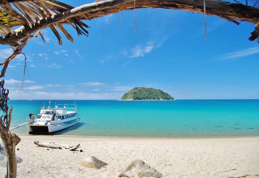 Abel Tasman: Sea Shuttle Cruise and Walking Tour Combo - Who Should Choose This Abel Tasman Day