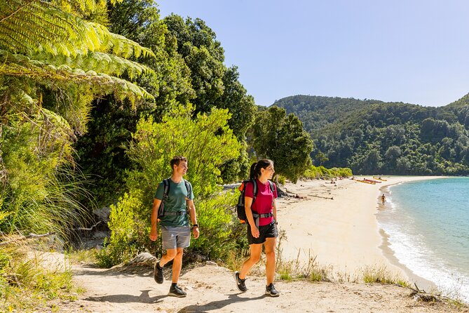 Abel Tasman Vista Cruise - Tonga Island Marine Reserve and wildlife views
