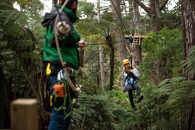 Adventurous Zipline Tour in Coromandel - Key points to know before booking