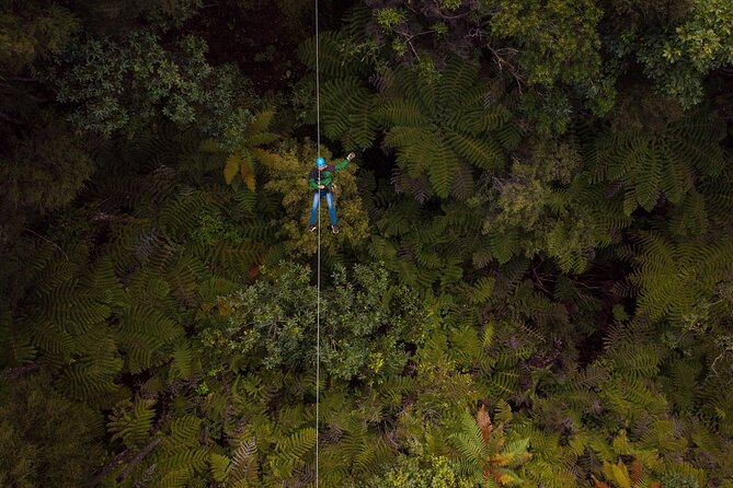 Adventurous Zipline Tour in Coromandel - Starting at Driving Creek Road