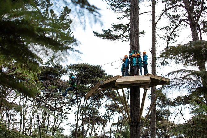 Adventurous Zipline Tour in Coromandel - Riding the 18-minute mountain railway