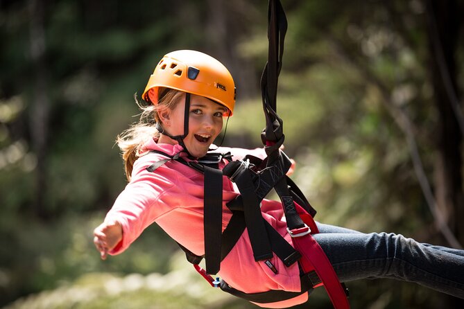 Adventurous Zipline Tour in Coromandel - Eight lines through native forest