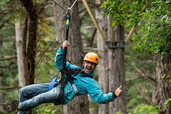 Adventurous Zipline Tour in Coromandel - How the guides shape the experience
