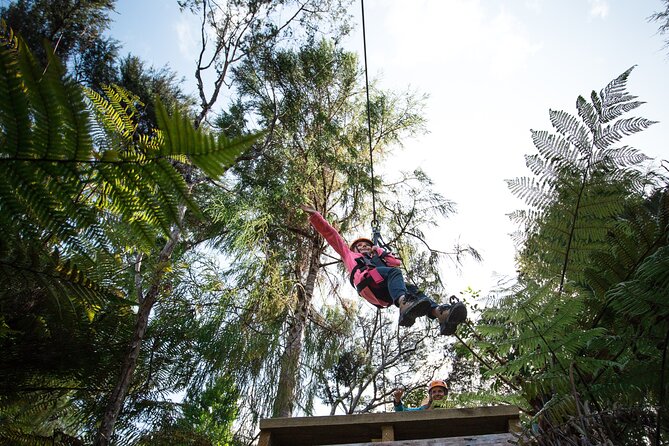 Adventurous Zipline Tour in Coromandel - Price, timing, and overall value
