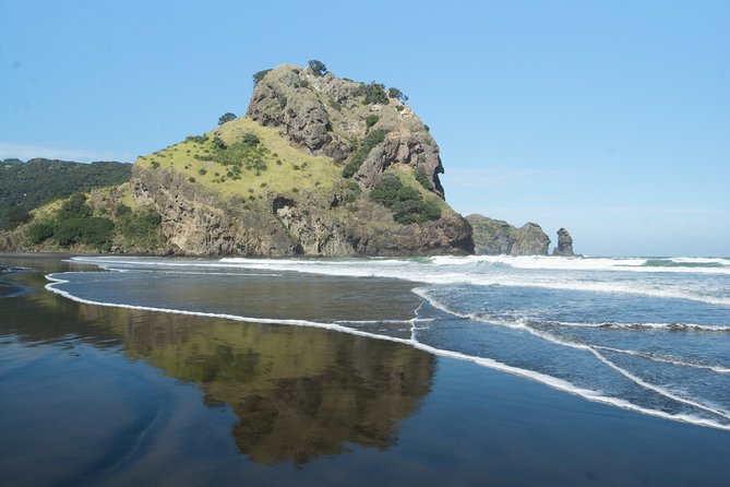 Afternoon Piha Beach and Rainforest Tour from Auckland - Afternoon tea with a New Zealand touch