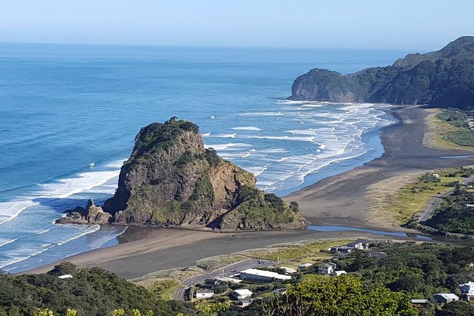 Afternoon Piha Beach and Rainforest Tour from Auckland - The Waitakere rainforest walk, easy but worth your shoes