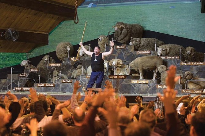 Agrodome Farm Experience including Farm Show and Farm Tour - Rotorua - Key points to know before you go