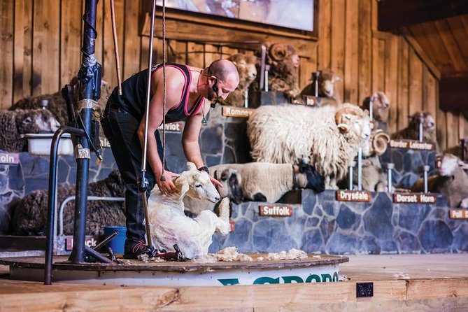 Agrodome Farm Experience including Farm Show and Farm Tour - Rotorua - Why the Agrodome works as a Rotorua side trip