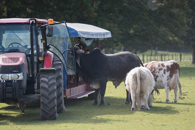 Agrodome Farm Experience including Farm Show and Farm Tour - Rotorua - How much time to allow and how to plan your visit