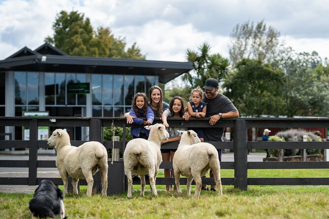 Agrodome Farm Experience including Farm Show and Farm Tour - Rotorua - Is the $40.34 price good value?