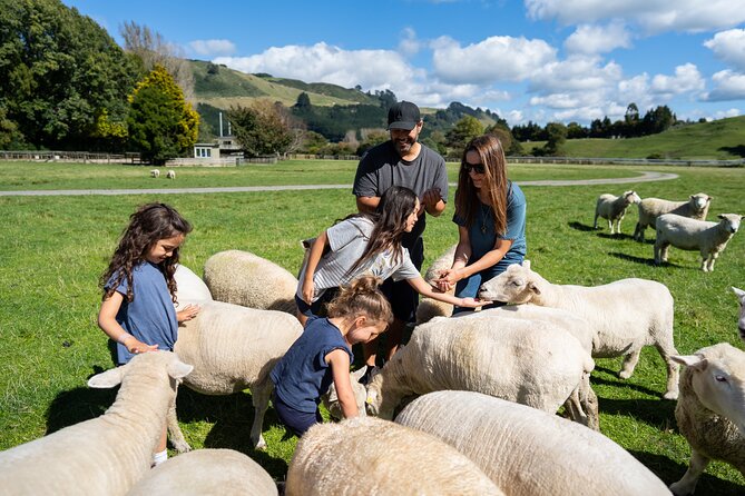 Agrodome Farm Experience including Farm Show and Farm Tour - Rotorua - Practical tips for a smoother visit