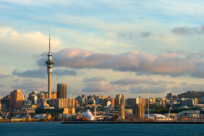 Airport Transfer: Auckland Airport AKL to Auckland by Sedan Car - The 30-minute ride into Auckland