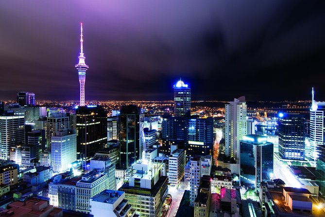 Airport Transfer: Auckland Airport AKL to Auckland by Sedan Car - The service style, from luggage to the back seat