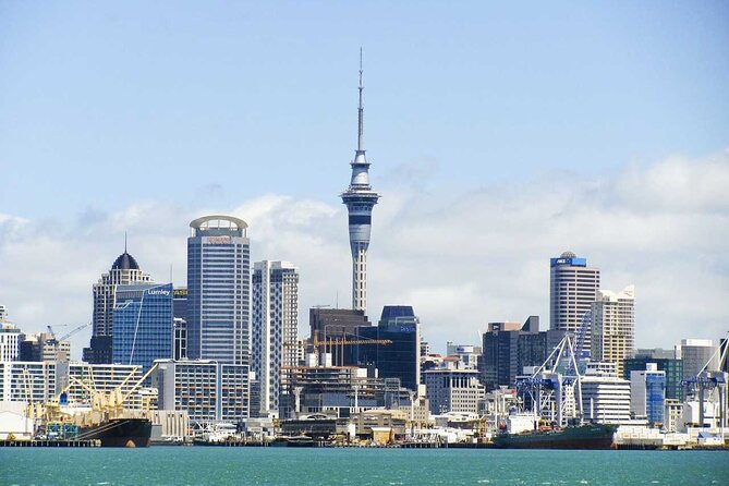 Airport Transfer: Auckland Airport AKL to Auckland by Sedan Car - Why a private sedan can be worth the price