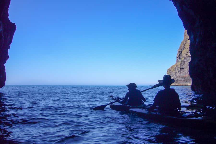 Akaroa: 4WD Safari and Guided Sea-Kayaking Experience - One to one and a half hours along the reserve