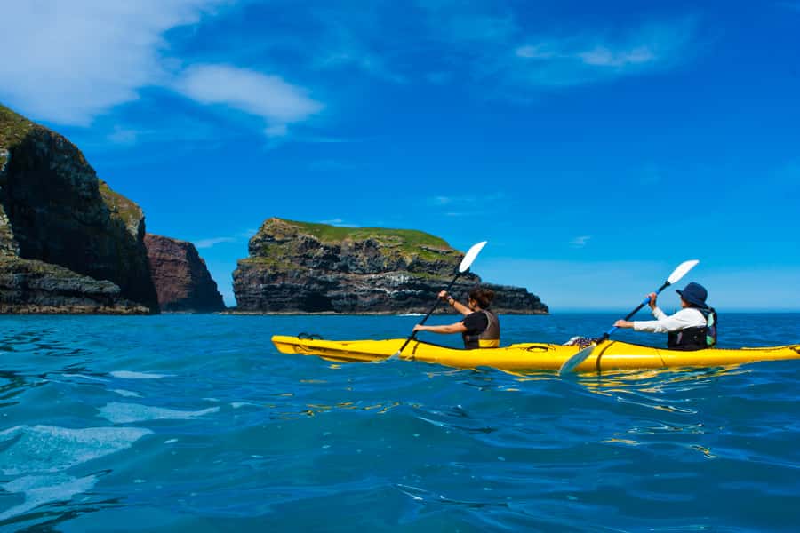 Akaroa: 4WD Safari and Guided Sea-Kayaking Experience - The guides are a major part of the value