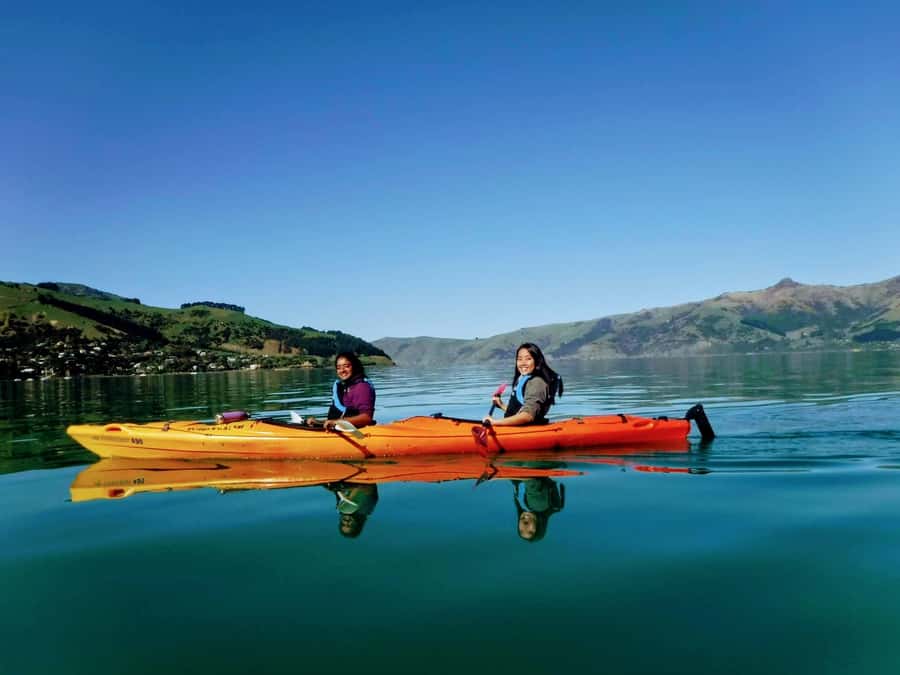 Akaroa: Akaroa Marine Reserve Sea Kayaking Tour - The first paddle across the crater