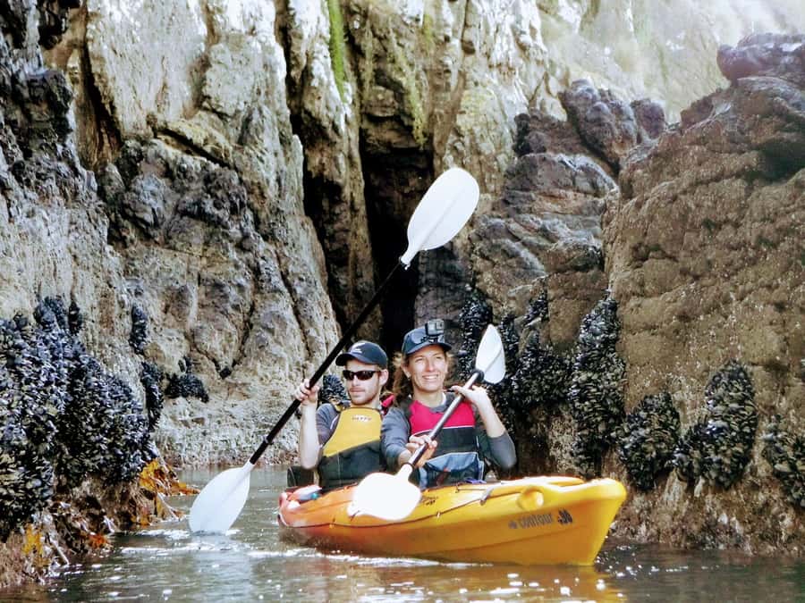 Akaroa: Akaroa Marine Reserve Sea Kayaking Tour - Watching for Hector dolphins and marine life