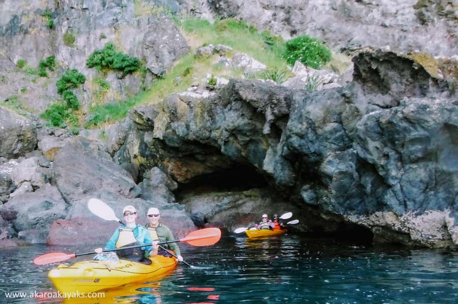 Akaroa: Akaroa Marine Reserve Sea Kayaking Tour - The guide makes the difference