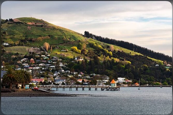Akaroa Day Tour From Christchurch - Why this Christchurch to Akaroa trip is appealing