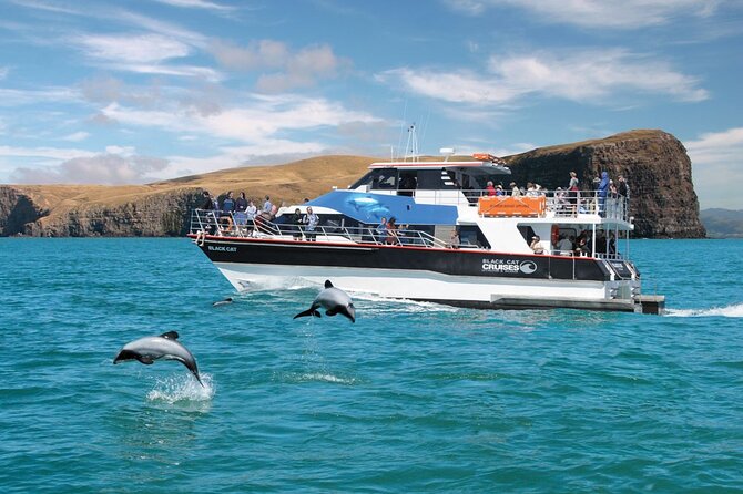Akaroa Day Tour From Christchurch & Lyttelton - Christchurch pickup keeps the morning simple