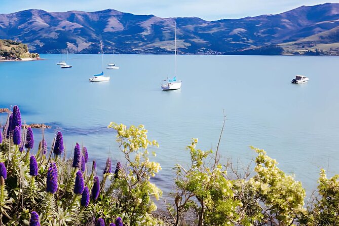 Akaroa Day Tour from Christchurch Return - Akaroa Museum in 25 minutes