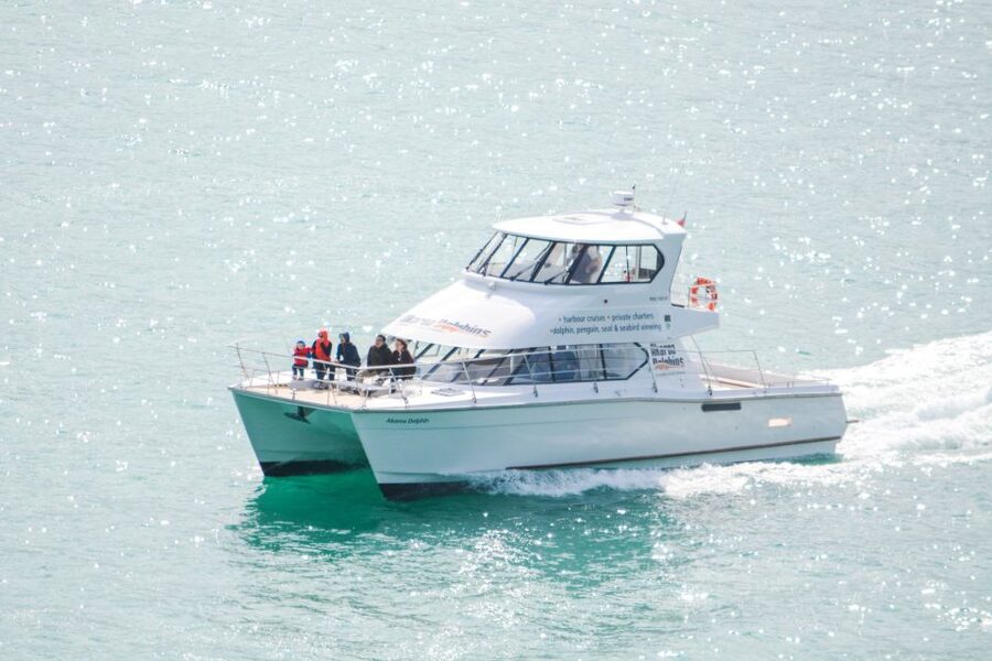 Akaroa: Dolphin Nature Cruise - A comfortable two hours on the water