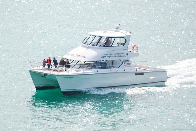 Akaroa Dolphins ~ Harbour Nature Cruise - Akaroa Harbour wildlife search