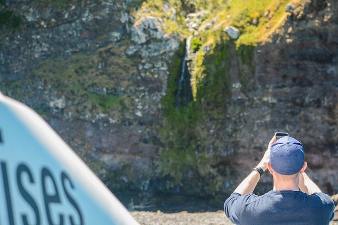 Akaroa Dolphins ~ Harbour Nature Cruise - Who will enjoy this cruise most