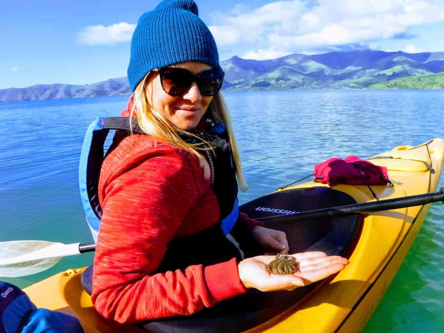 Akaroa: Electric Mountain Bike and Sea Kayak Adventure - Should you book it?