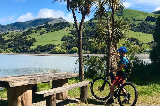 Akaroa Explorer- Guided Electric Bike Tour in Akaroa - What makes the scenery worth the effort
