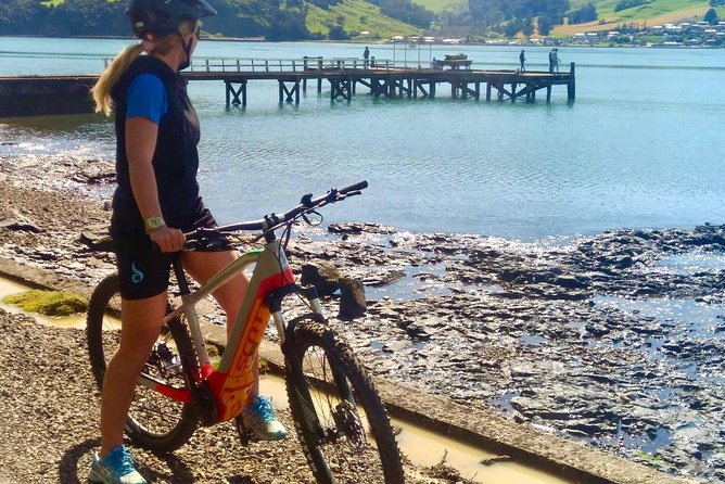 Akaroa Explorer- Guided Electric Bike Tour in Akaroa - Is the $83.78 price good value?