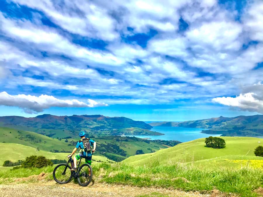 Akaroa Explorer: Guided Electric Mountain Bike Tour - Four things to know before you ride