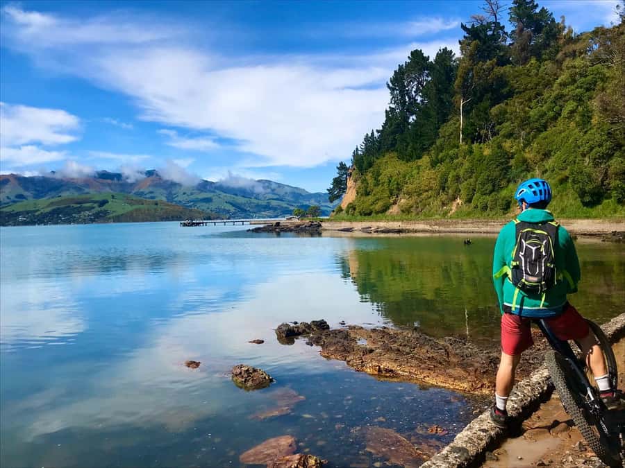 Akaroa Explorer: Guided Electric Mountain Bike Tour - The hills, viewpoints, and descents
