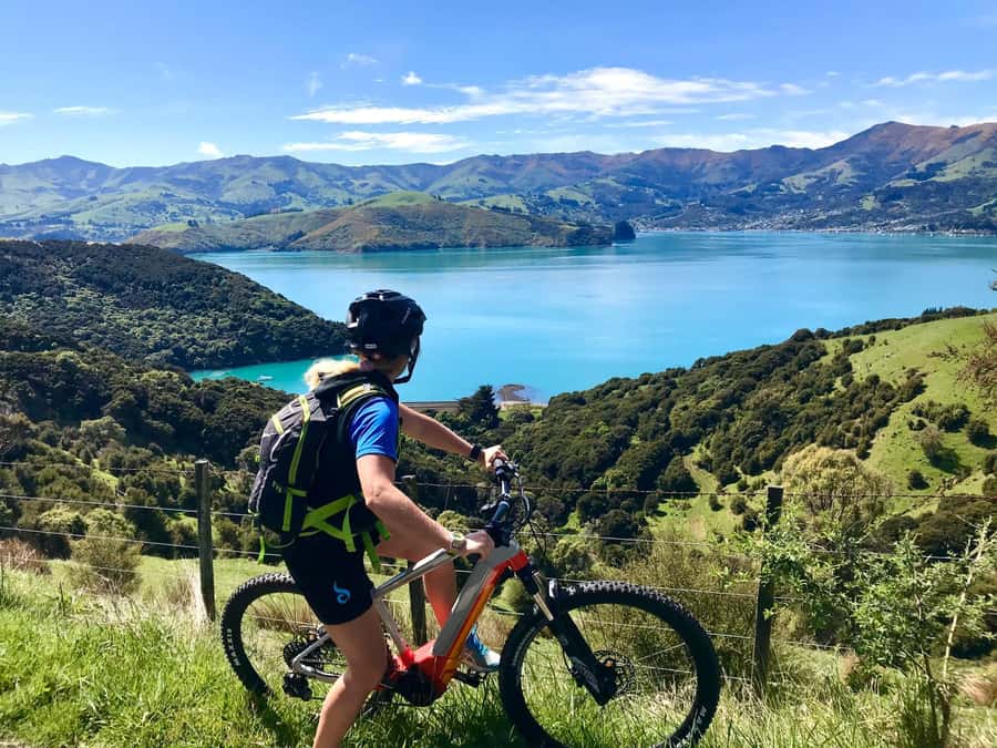 Akaroa Explorer: Guided Electric Mountain Bike Tour - What the $86 price delivers