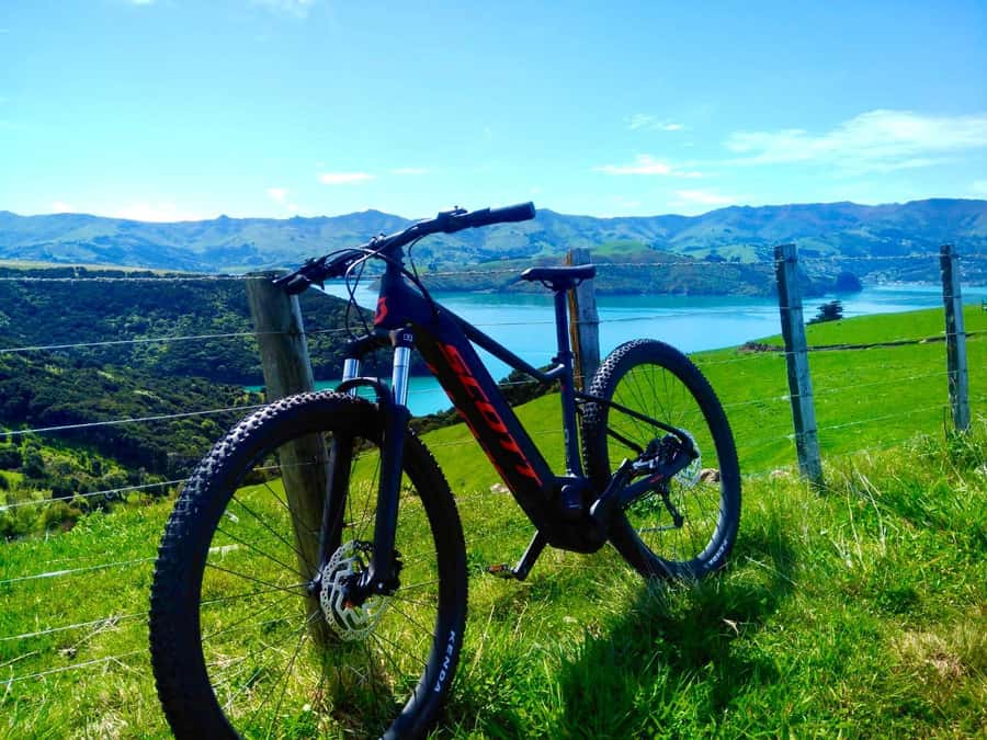 Akaroa Explorer: Guided Electric Mountain Bike Tour - Getting comfortable with the Scott e-bike