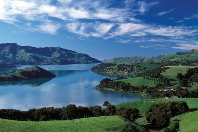 Akaroa Full Day Sightseeing Tour from Christchurch - The two-hour Black Cat nature cruise