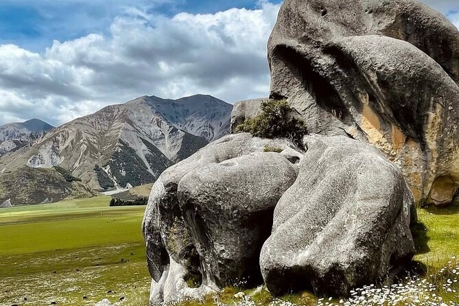 Akaroa Full Day Sightseeing Tour from Christchurch - What the guides add to the experience