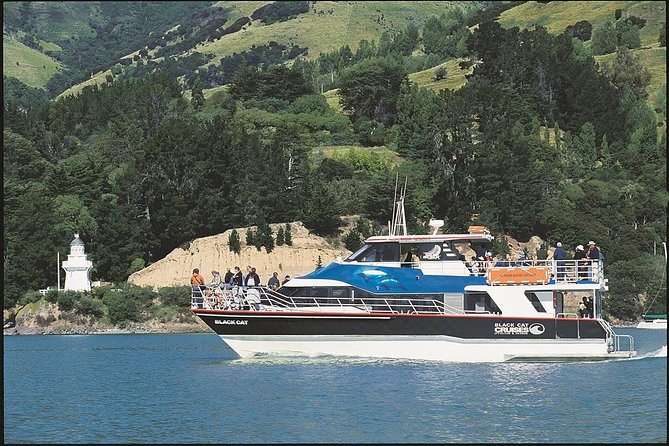 Akaroa Full Day Sightseeing Tour from Christchurch - Barry’s Bay cheese and an old peninsula tradition