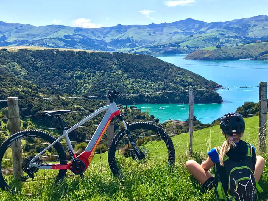 Akaroa: Guided Electric Mountain Bike Tour-Lava Loop - Why the Lava Loop is worth your time