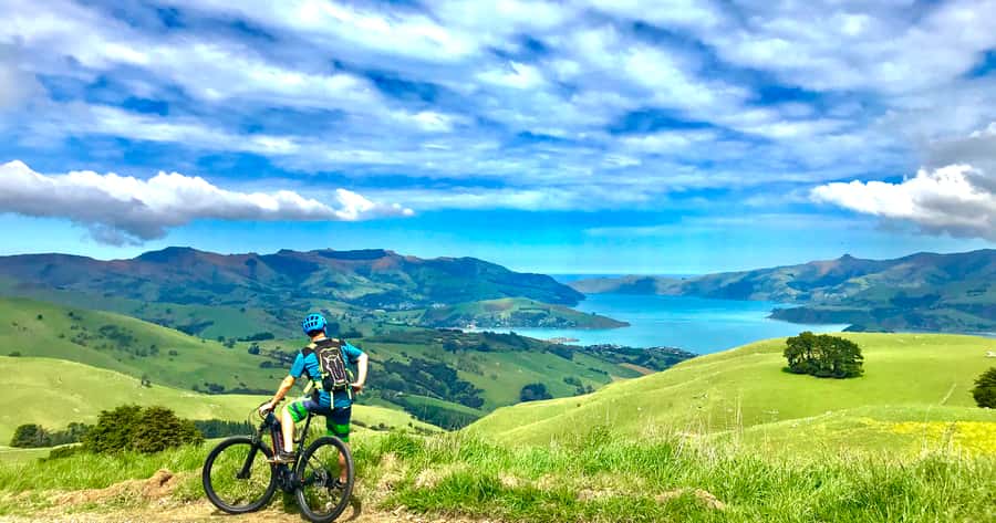 Akaroa: Guided Electric Mountain Bike Tour-Lava Loop - The climb toward the crater rim
